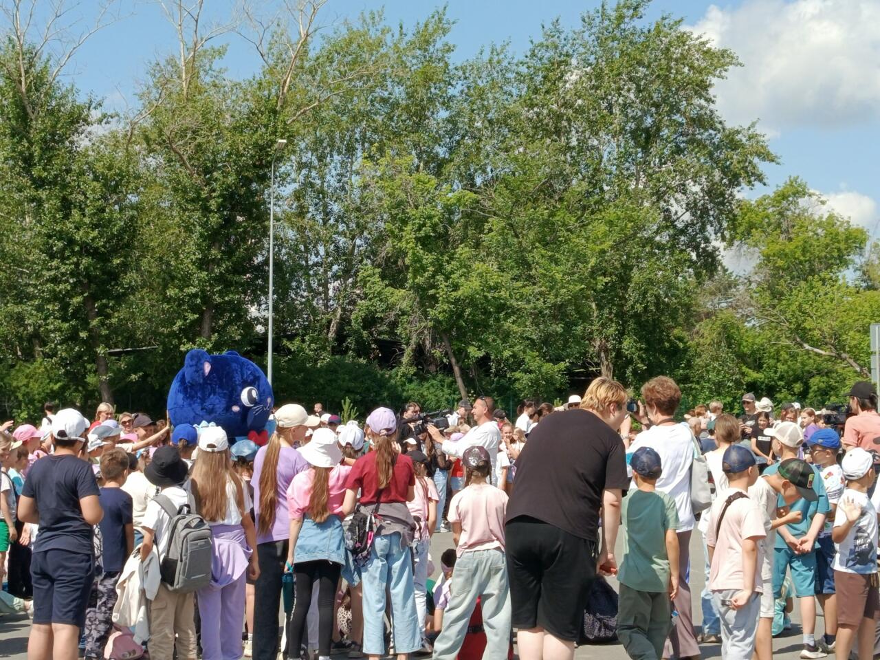 Фестиваль 